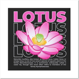 Lotus flower vector with typography Posters and Art